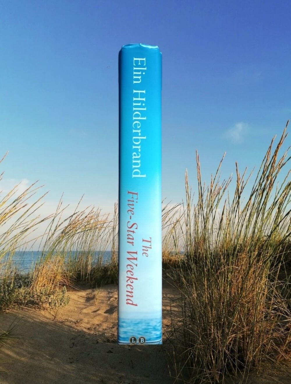 Book: Five-Star Weekend - Picture 4 of 10